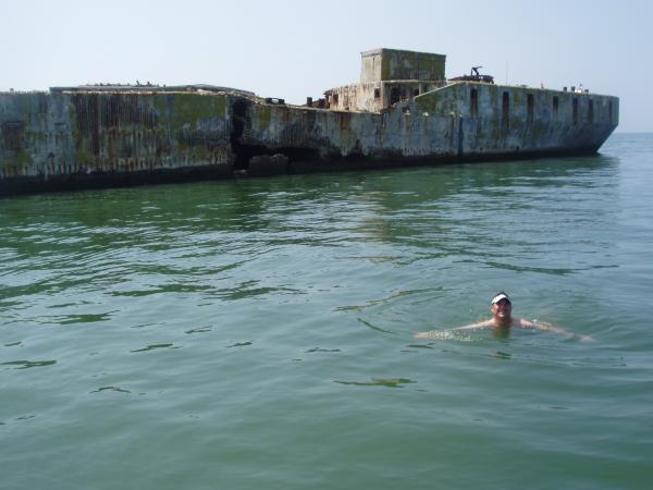 Celebration swim at the concrete ships