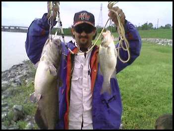 Channel cat and Stripe caught @ Kentucky Dam