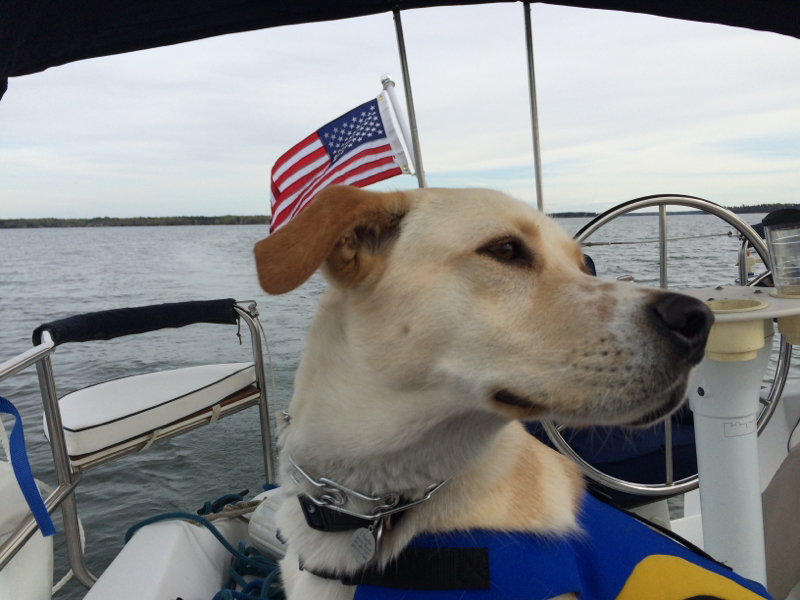 Charlie's first sail