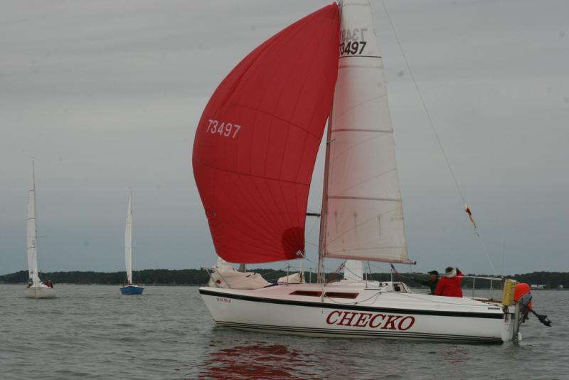 Checko in a light air spinnaker race