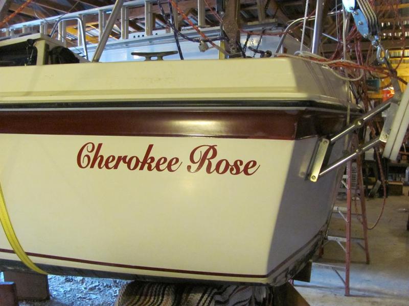 Cherokee Rose 001