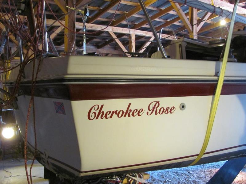 Cherokee Rose 002