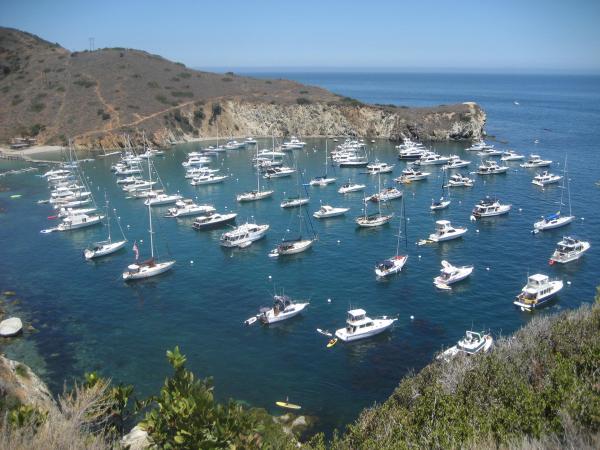 Cherry Cove Catalina