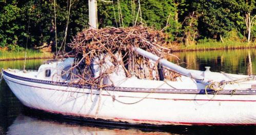 Columbia Sabre as she appeared in Soundings Magazine just before I bought her.