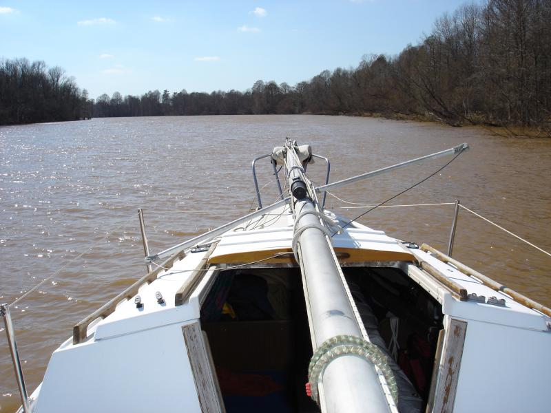 CongareeRiverSC