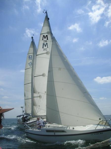 Crowded start of a race.