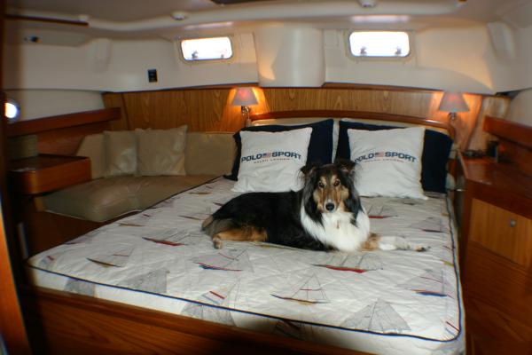 Custom made bed spread and back cushions on the side vanity area