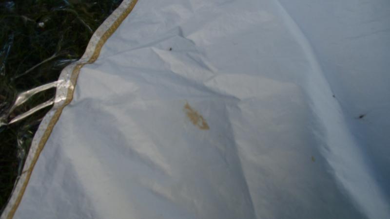 Discolored spot on sail where a mud wasp had made a nest.