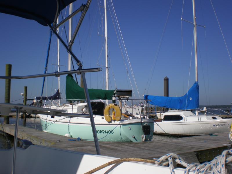 Dock Mates