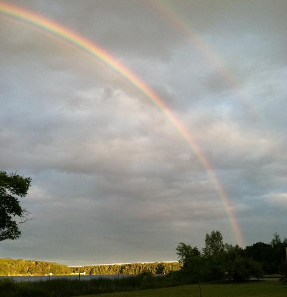 double r bow