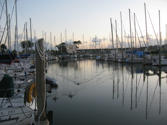 Early risers at Legend Point Marina, Galveston Bay.