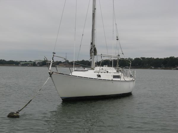 East Cost Lady on her Morring