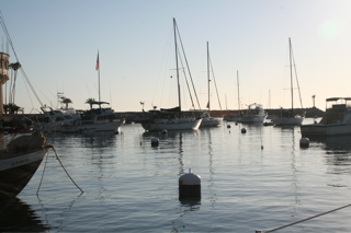 Evening in Avalon Harbor