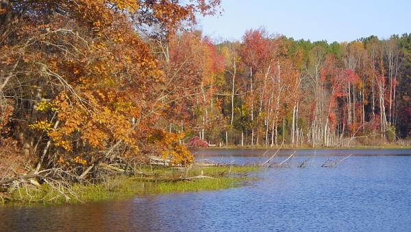 Fall colors