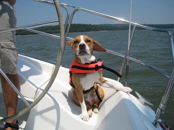 First Mate Winston