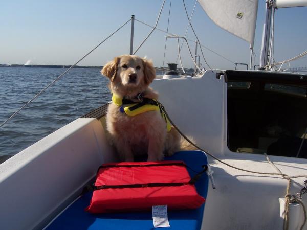 First Mate