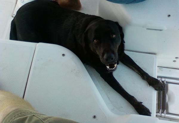 First mate