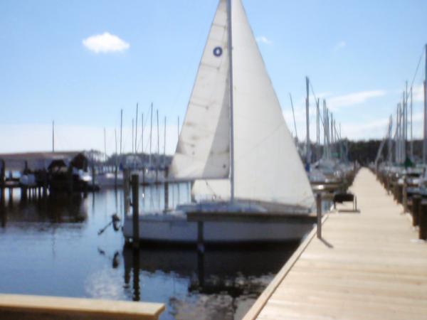 First time the sail have been up in 9 years