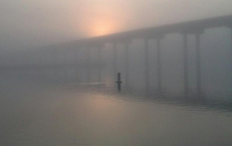 Foggy morning at the marina.