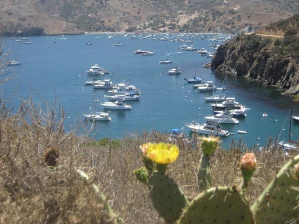 Fourth of July Cove and 2 Harbors in background.