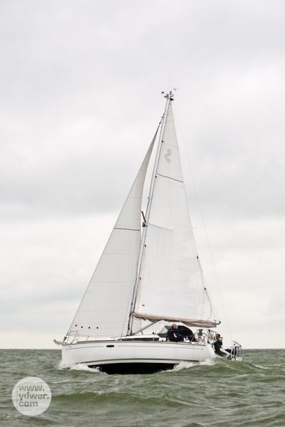 Freya ben cup 8