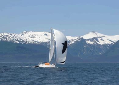 genaker up in Chatham Strait