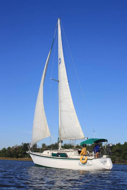 Gentle day on the Stono.