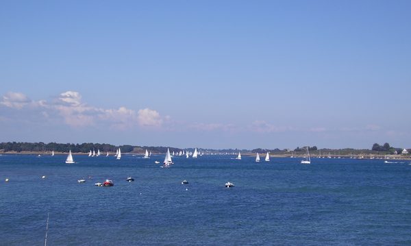 Golfe Morbihan