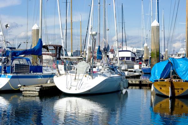 Greg working on dodger at Chinook Landing Marina, March 2011