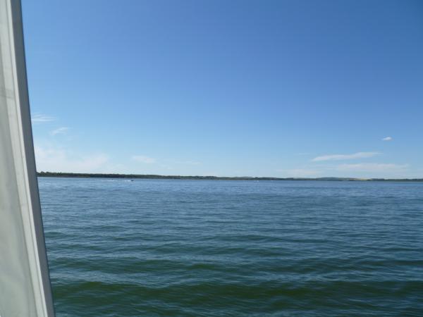 Gull NW