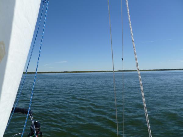 Gull S