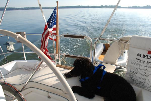 Henry at the Helm