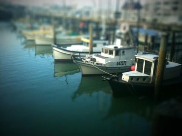 I took this one in San Fran and then use tiltshiftmaker.com to do the post processing.