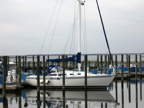 I'm the only one staying in the water this winter on D dock