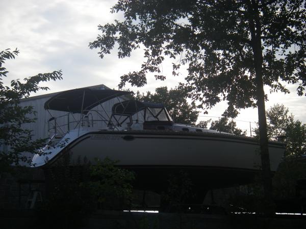 IMGP0231