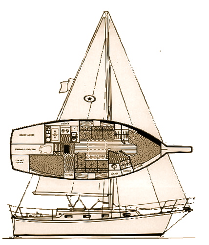 island packet 31 drawing