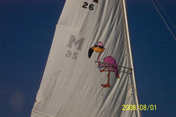 Itsaduck (not a Flamingo) is a grandson story.  A specialty graphics shop added the image to my mainsail.