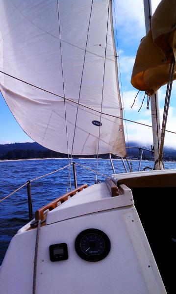 Jib Sailing