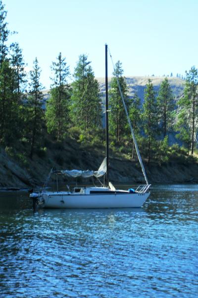 Jones Bay...wonderful anchorage on Lake Roosevelt Wa.  Good holding in sand and mud.  Well protected from the south and west.  Great smallmouth, walleye, rainbow and Kokanee fisheries.