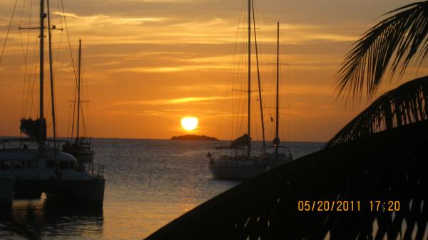 Joy of a sunset