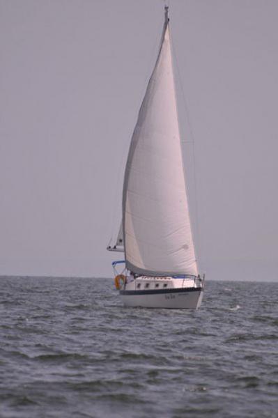 Kentucky Lake Sailing, Sea Zen Hunter 27