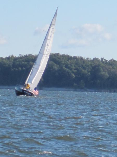 Kentucky Lake Sailing