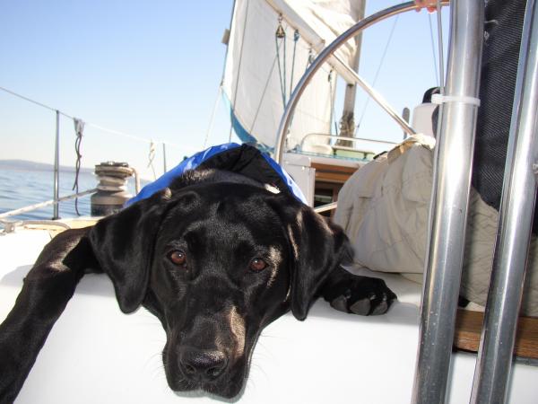 Lacey says no wind start the engine