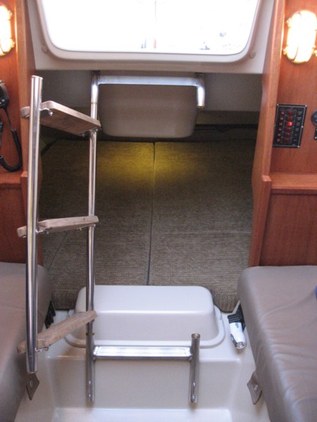 Ladder for access to rear berth