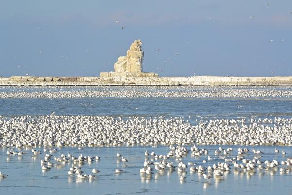 Lake Erie Frozen Lighthouse