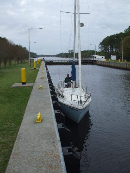 Lone occupant of the Great Bridge Locks, Chesapeake, VA, along the ICW. The locks actually seperate the brakish water of the Elisabeth River from the fresh water of the Albemarle Canal.