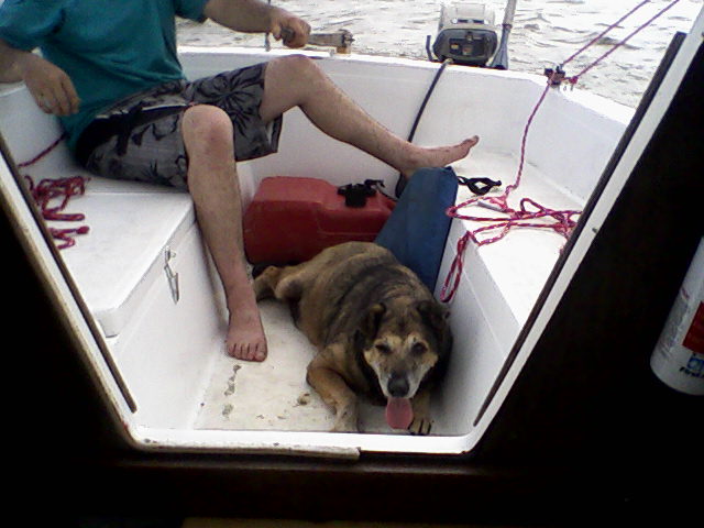 Lucky lounging on the cockpit sole.