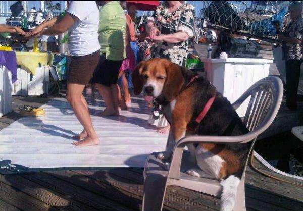 Marlee at the Dock Party