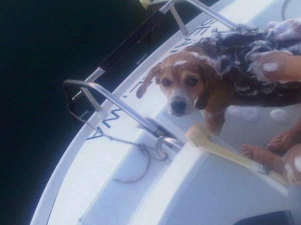 Marlee bath time on the boat