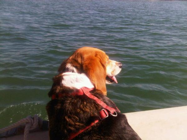 Marlee loves the Dinghy